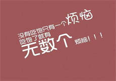 北漂小雅彪哥
